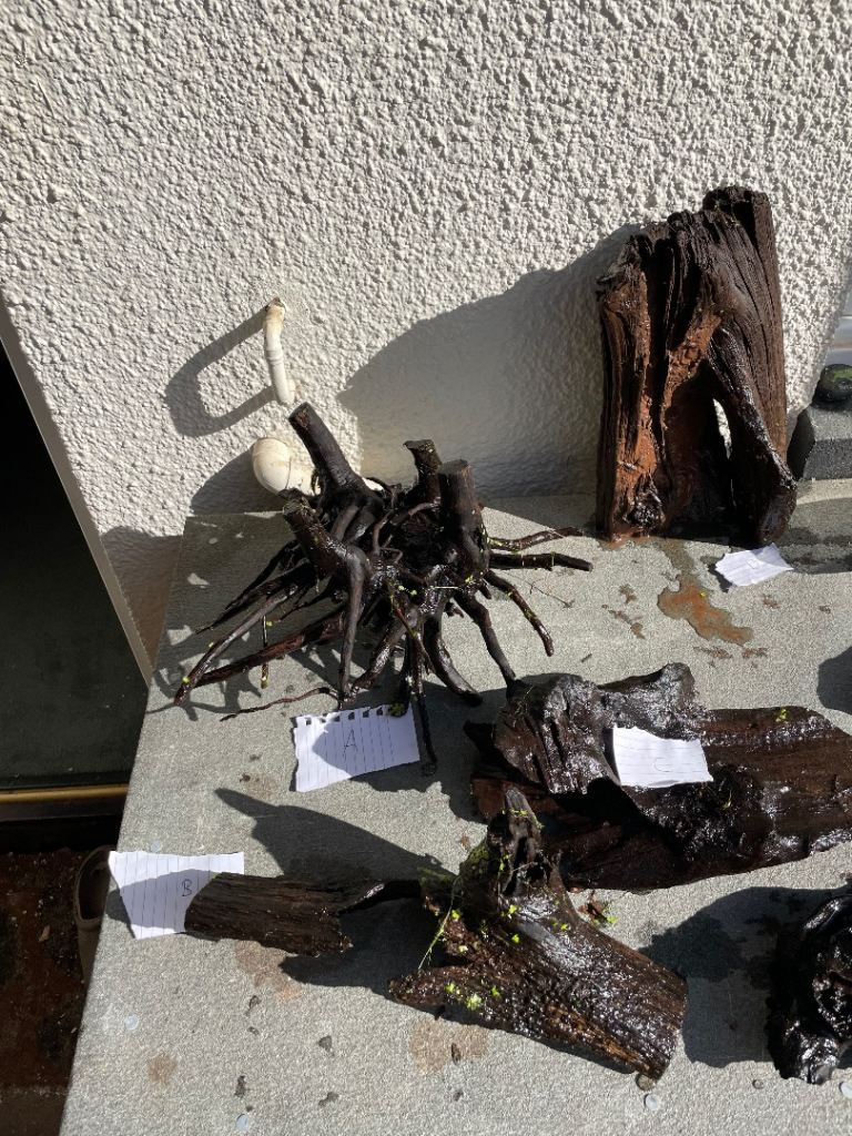 Bogwood for fish tanks 