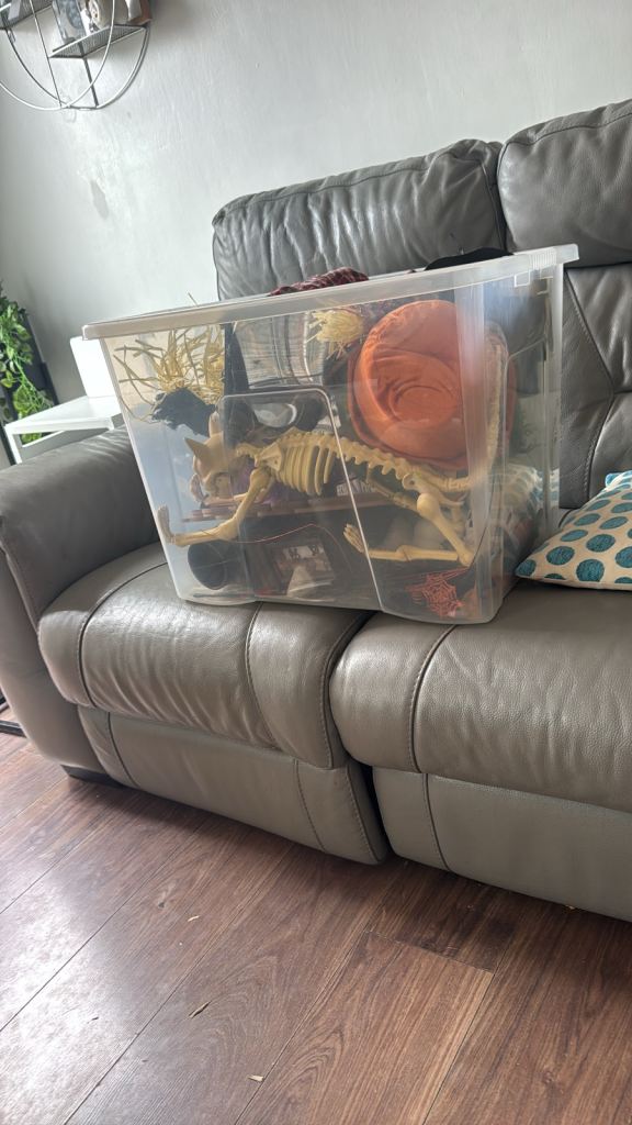 Large Clear Plastic Storage Box with Halloween Decorations