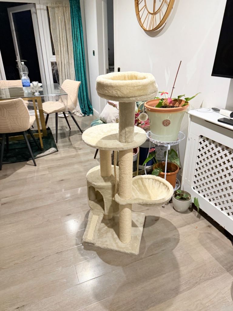 Cat house/ scratcher need gone asap