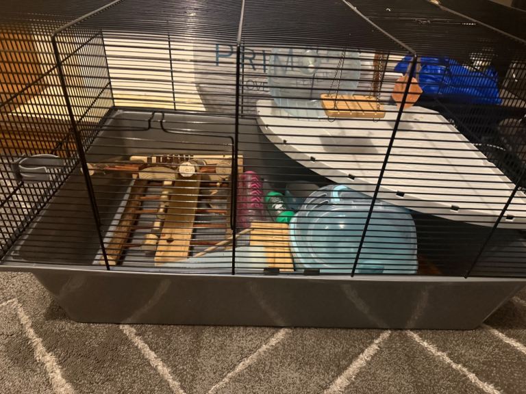 Good condition hamster cage 