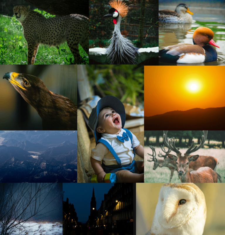 image for WithKhalil Photography