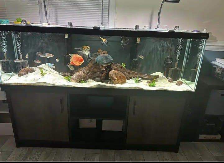 Juwel Vision 450 LED Aquarium 