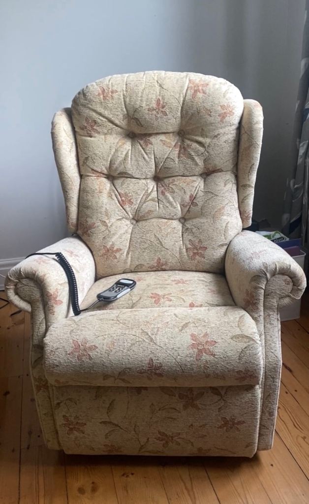 Riser Recliner, by Celebrity and Dual Motor. 