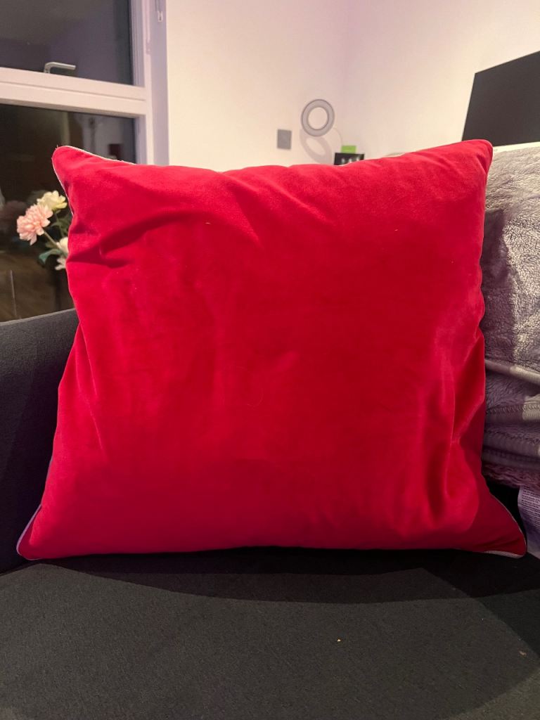 Large Raspberry Velvet Cushion