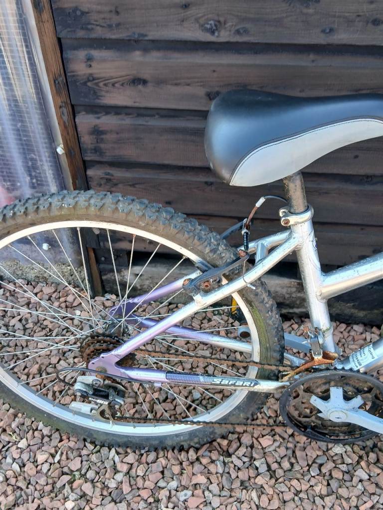 Free bicycles 