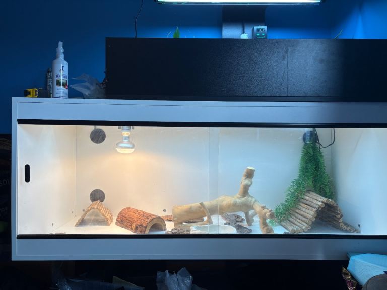 5 ft vivarium and accessories for reptile snake bearded dragon etc 