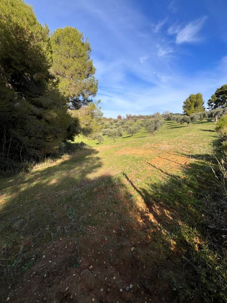 Panoramic land for sale with a building permit in Italy, Chieti (Abruzzo)