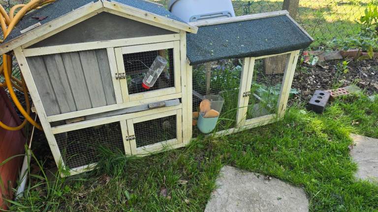 Rabbit hutch