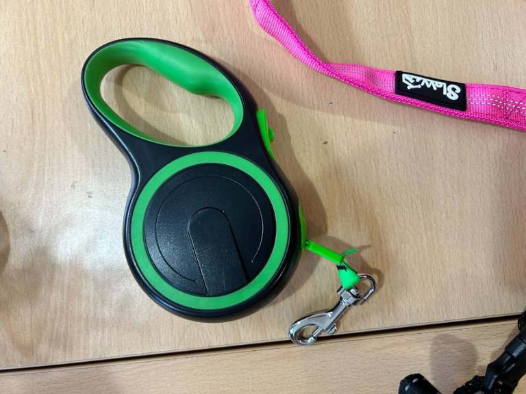 Dog Extendable Lead
