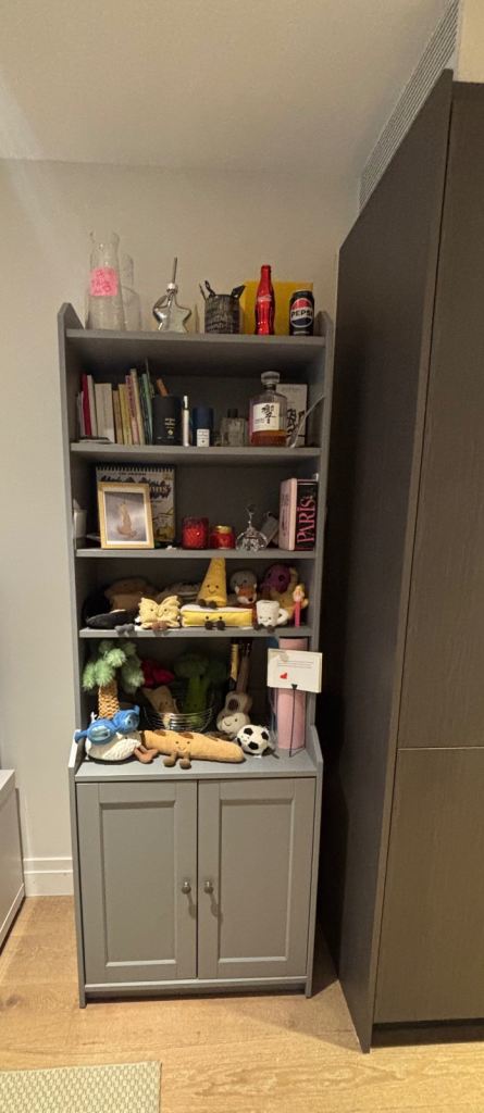 Grey Lounge Display Cabinet IKEA HAVSTA – Excellent Condition £140