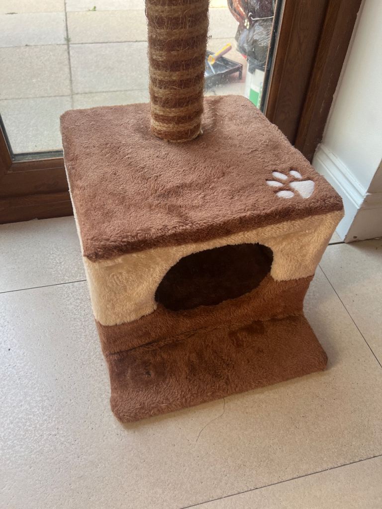 Cat scratch post and sleeping box with pedestal 