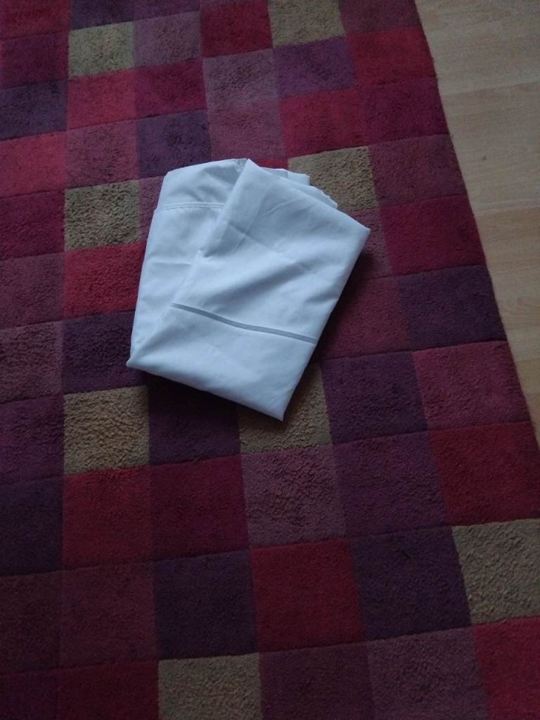"Shower curtain dust sheets"