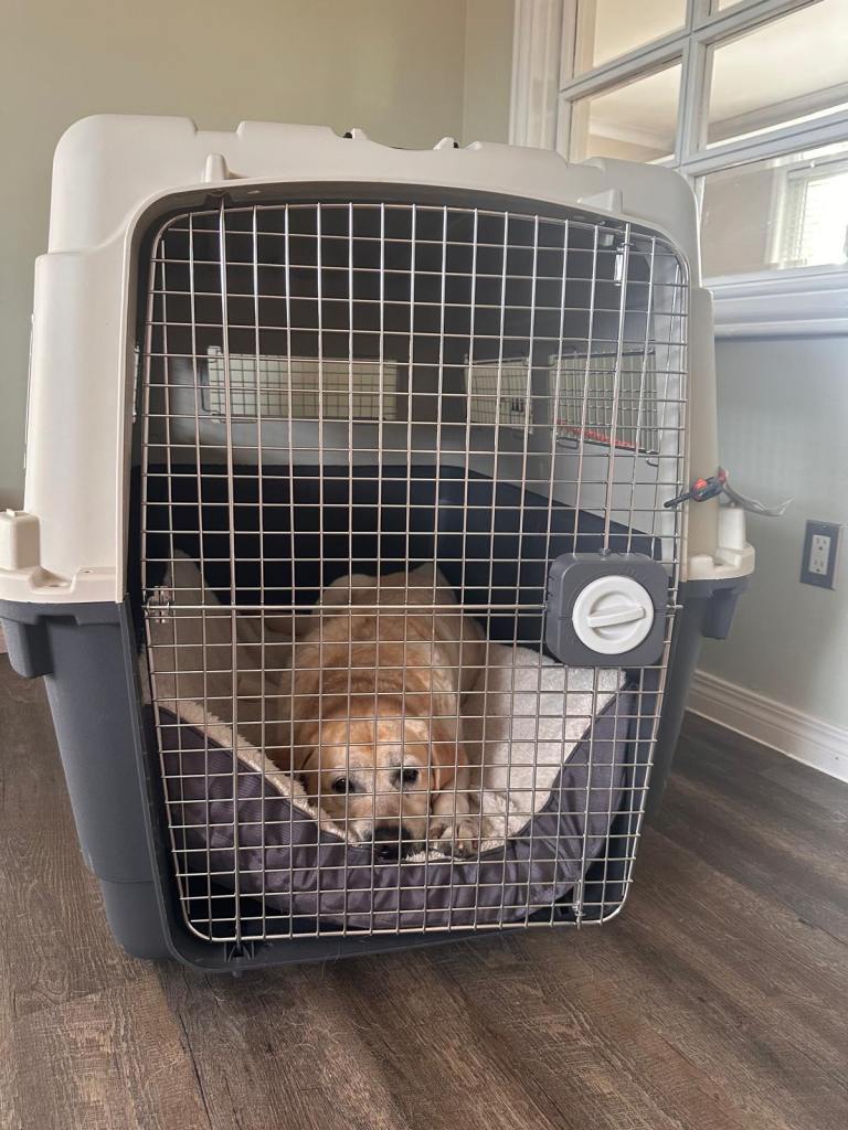 XL dog kennel - with wheels