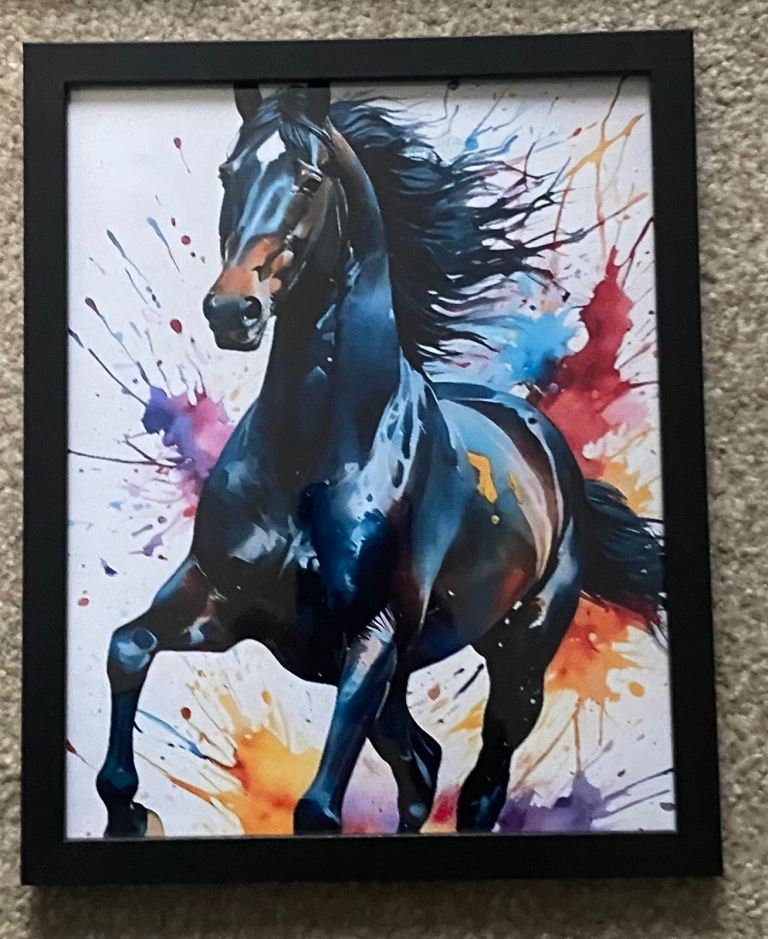 Horse pictures x 10 framed 