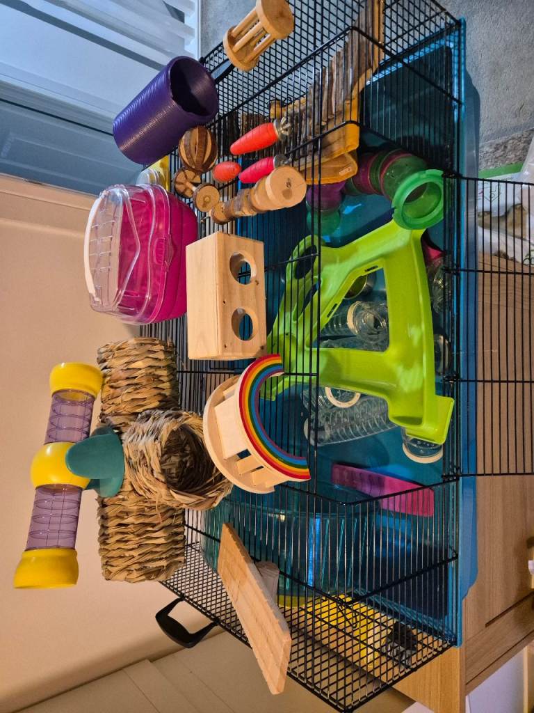Hamster cage with accessories 