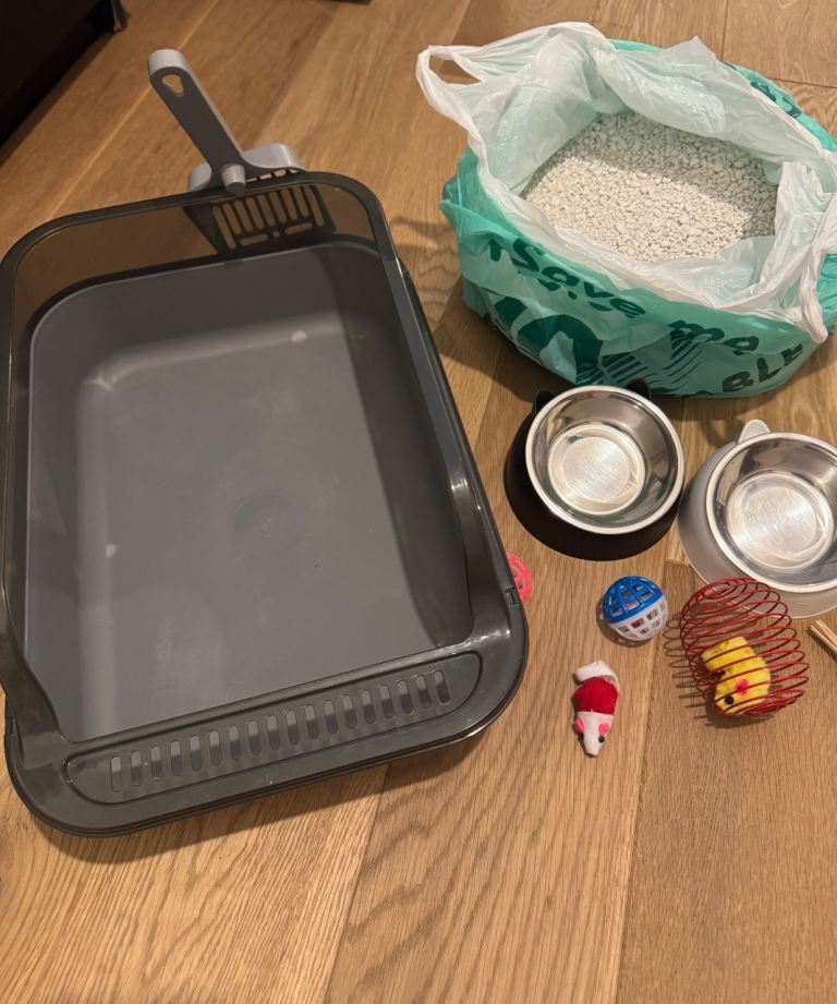 Kitten starter kit - litter tray plus more 