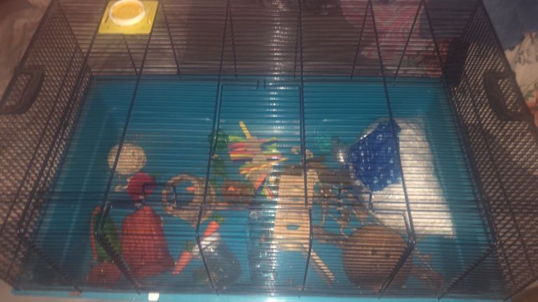 Large Pet Cage with Accessories