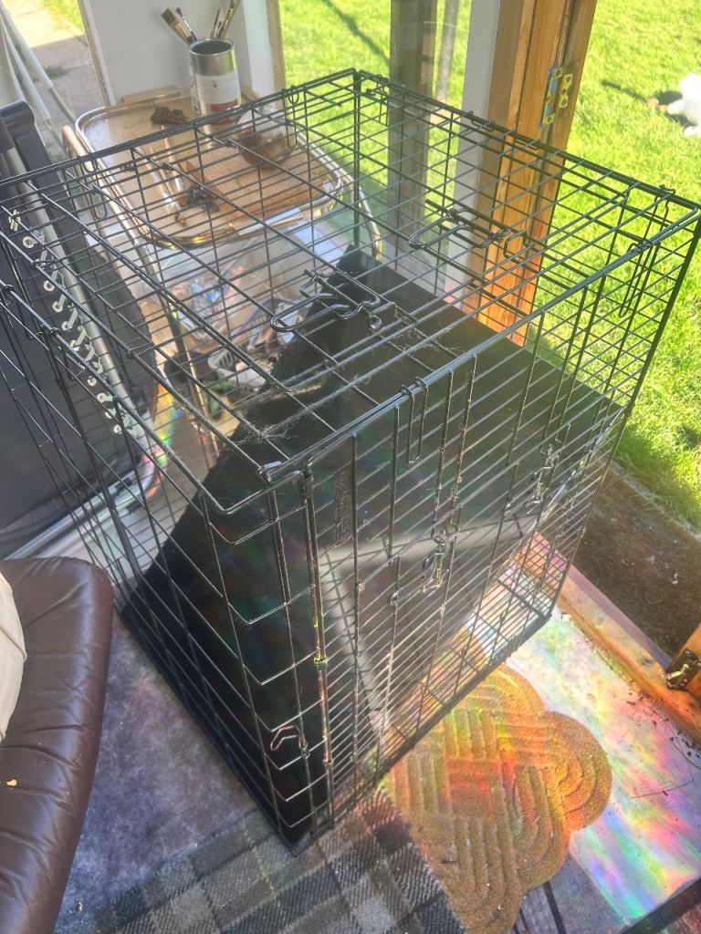 Large dog crate - black metal