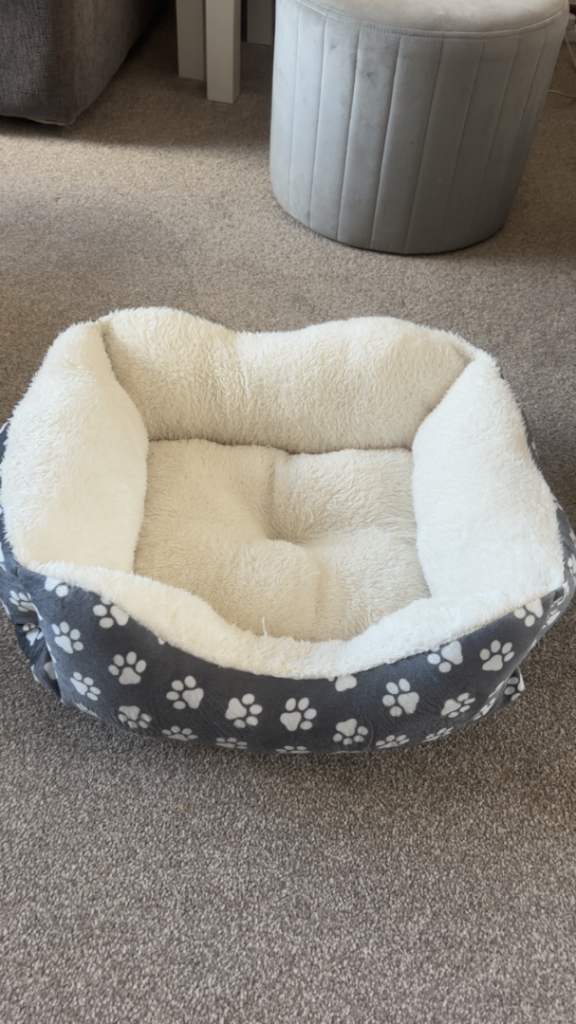 Cat or small dog bed 