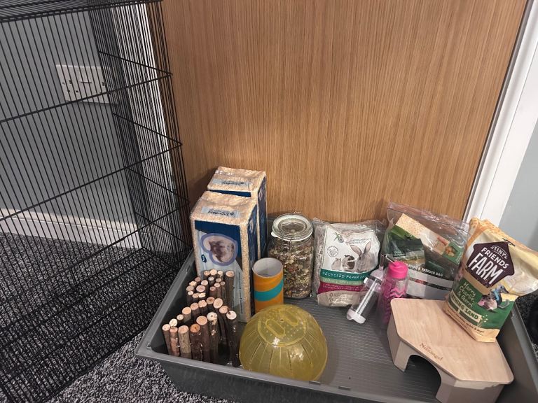 Full Hamster Set Up
