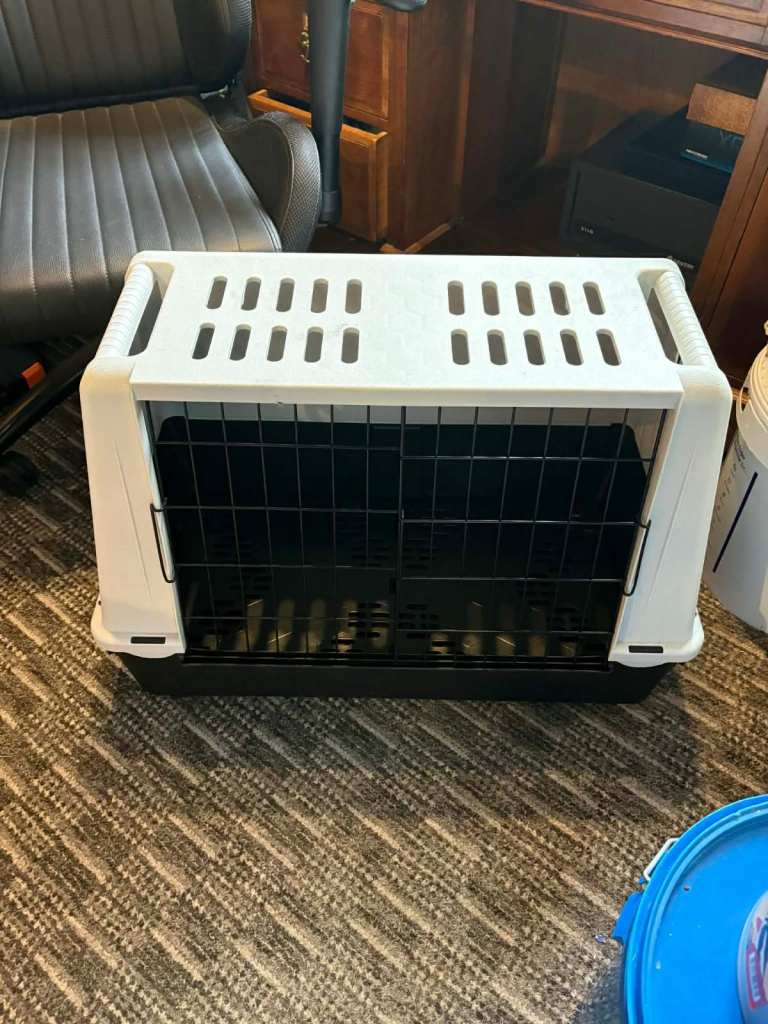 ferplast dog carrier for car