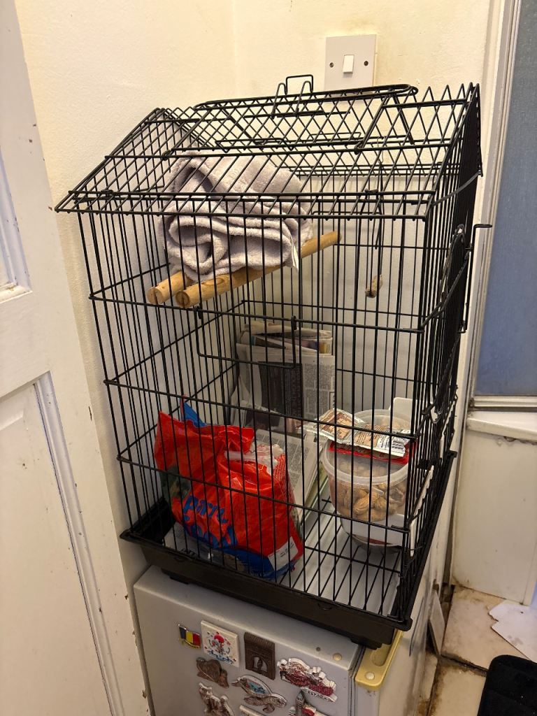 Bird cage 
