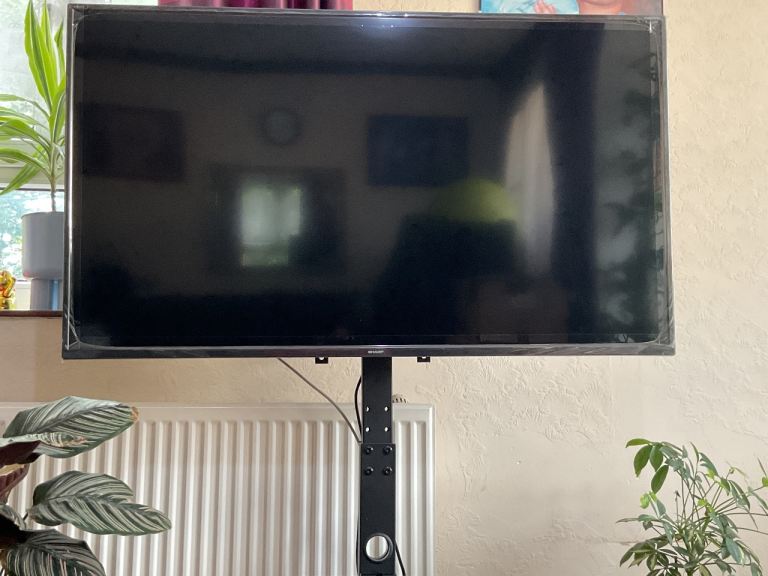 TV plus TV Stand