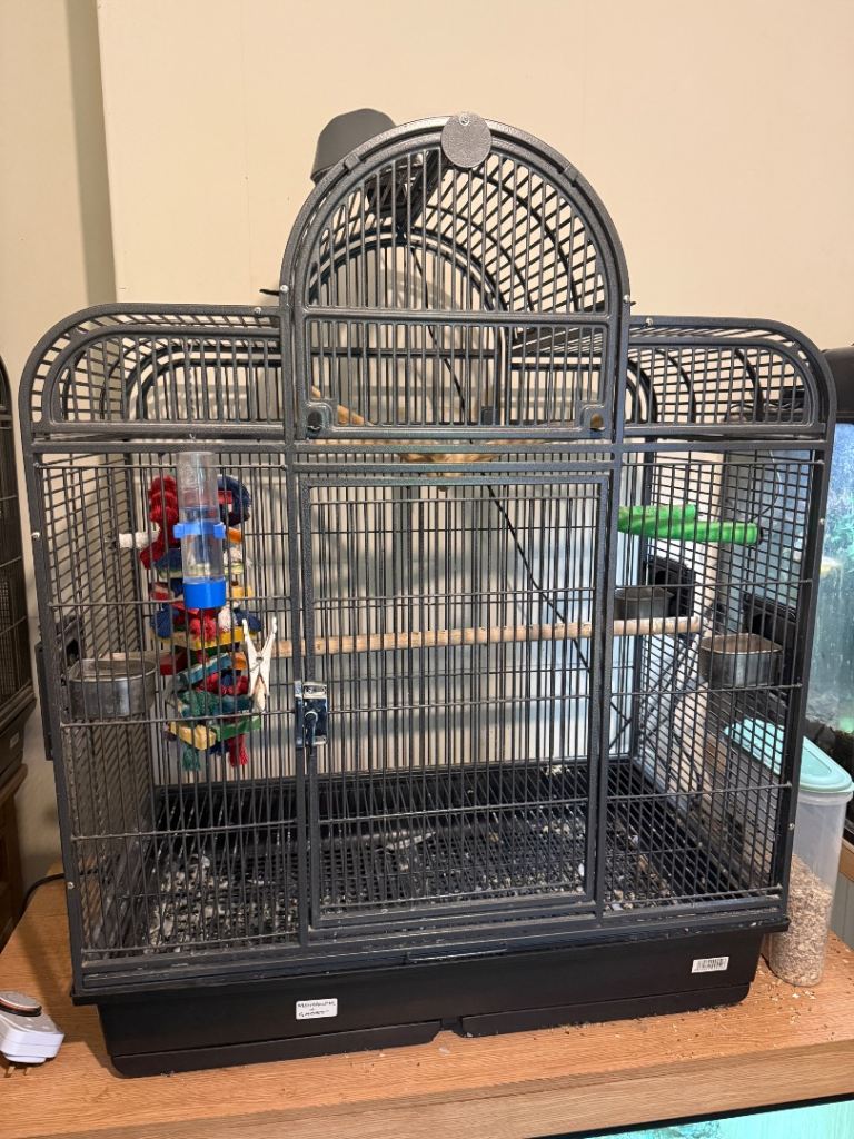 Rainforest Santa Fe bird cages