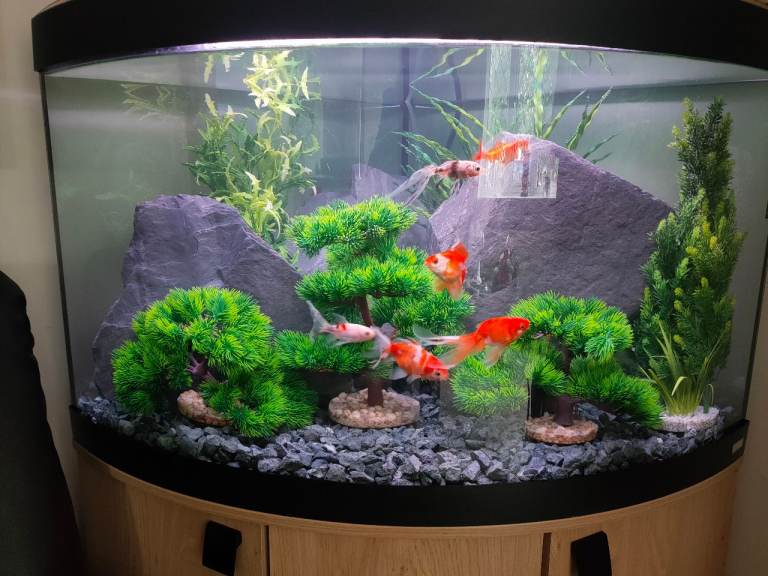 Fluval Vicenza 190ltr corner fish tank 