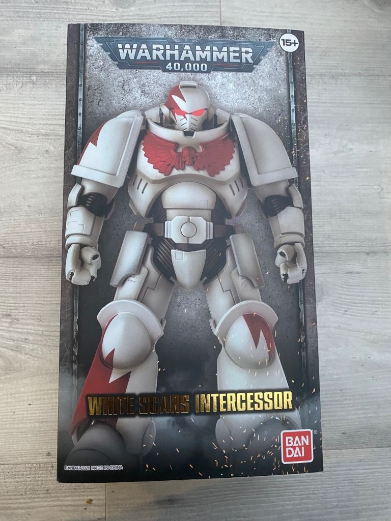 Games Workshop Warhammer White Scars Intercessor