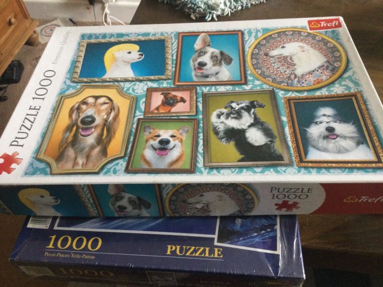 Puzzle of dogs