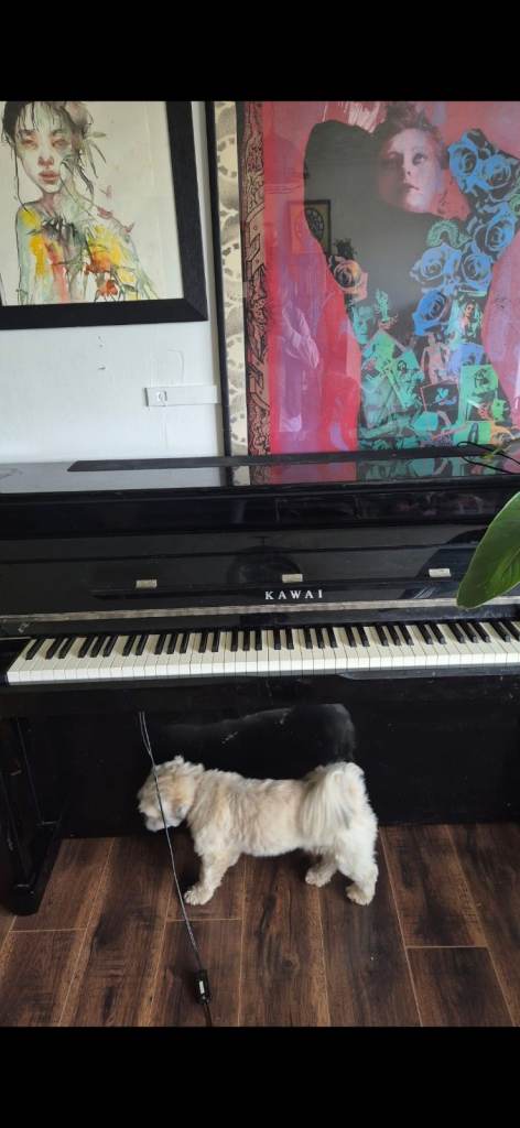 Kawai CS11 Black Upright Electric Piano – Good Condition