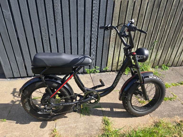 Ricky electric chopper bike