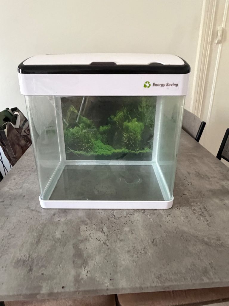 Small fish tank 