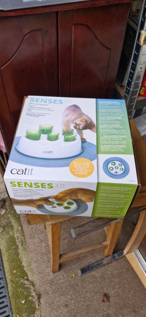 Cat toy senses