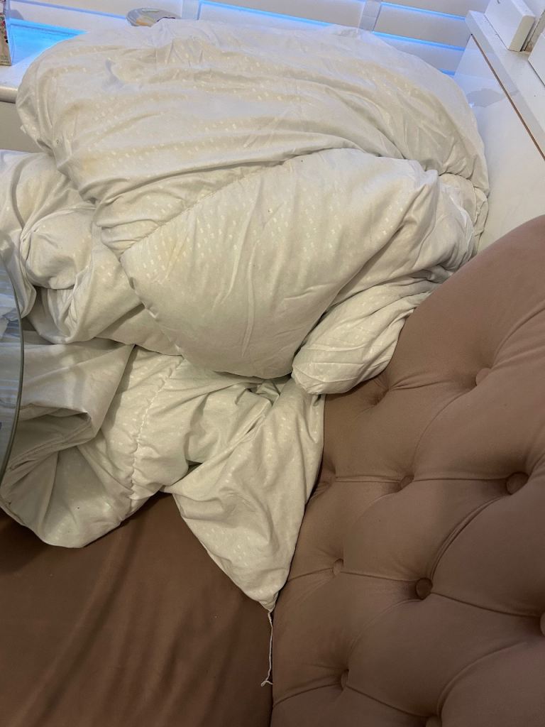 X2 single duvets and memory foam pillow may suit to use for pets collect Oldbury 