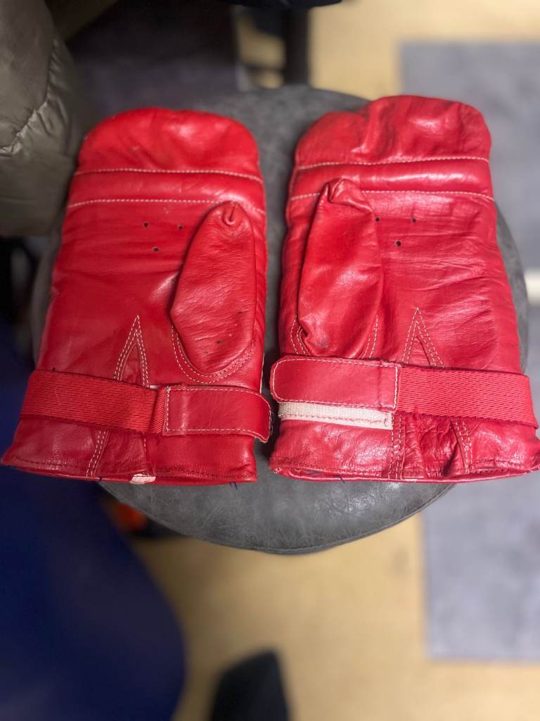 Adult punch bag and gloves