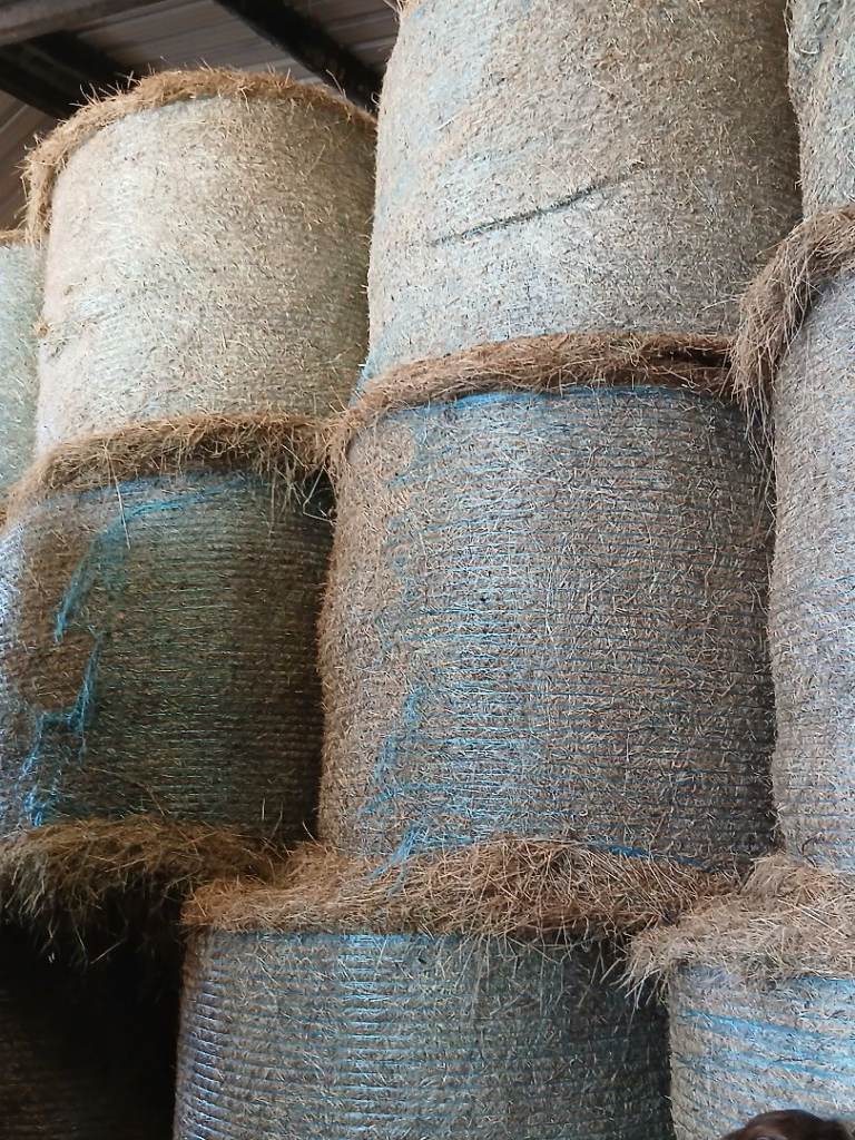 Medow hay-Small squares and big rounds 