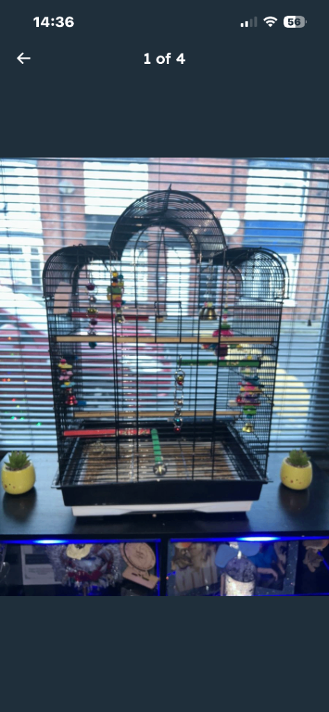 Bird cage and accessories 