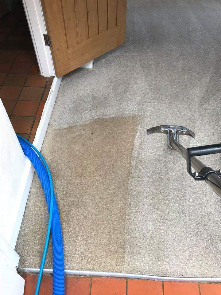 Steam Carpet Cleaning from £17, Sofa Clean, Mattresses, Rugs, End of Tenancy Cleaning