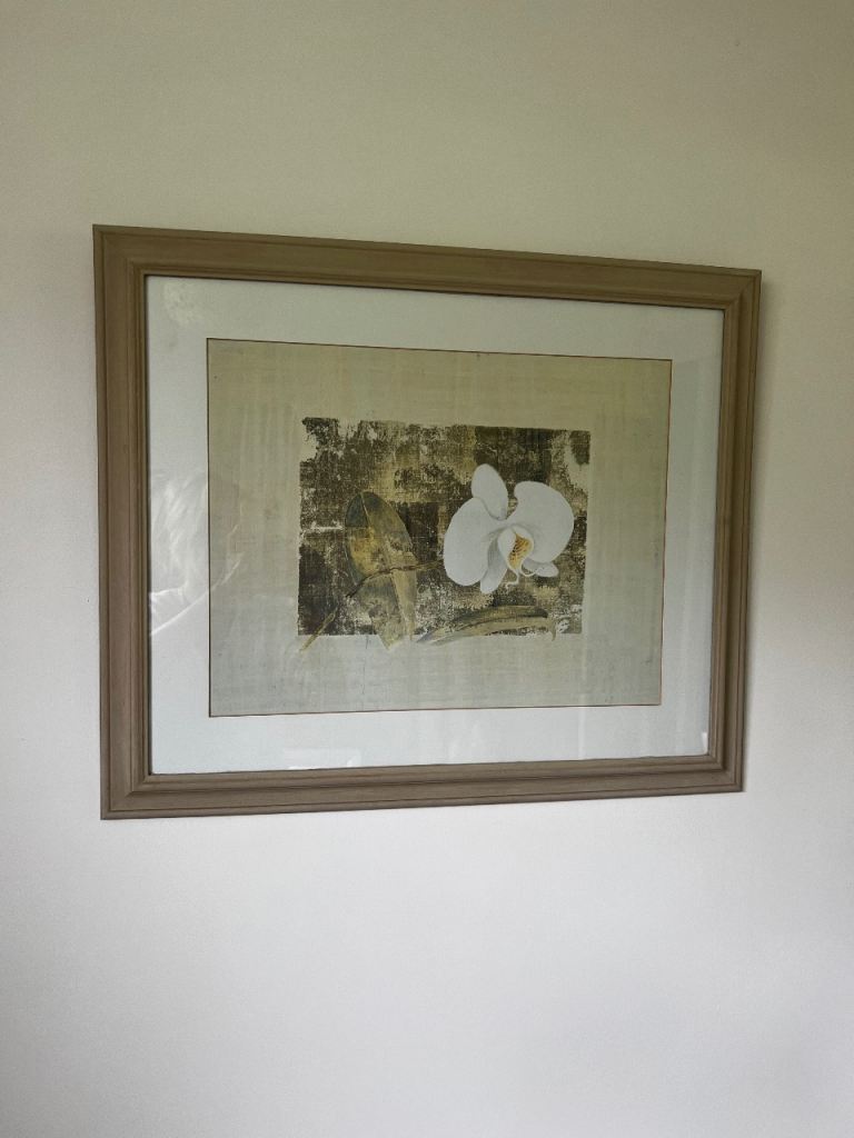 Free Framed Orchid Picture – light beige , Good Condition