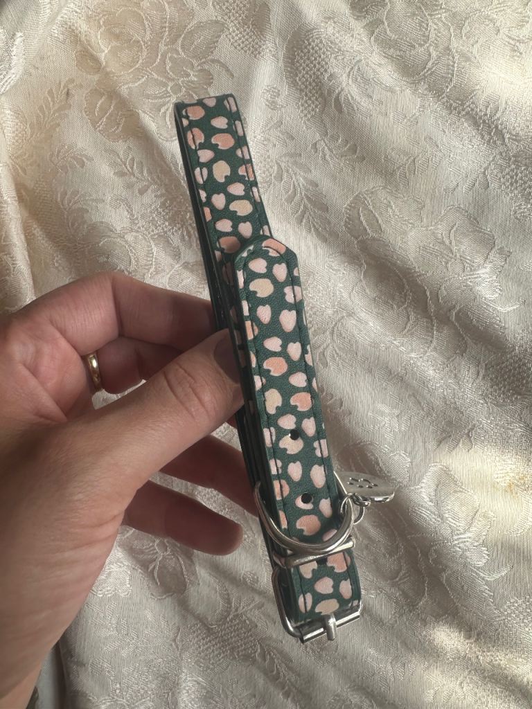 By Jess Wright Medium Pet Collar