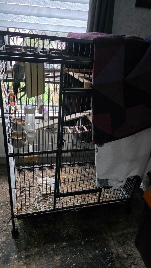 2 bird cages for sale