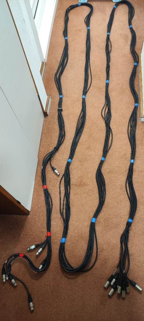 10m 8-Way XLR Stage Loom/Snake–Neutrik Connectors