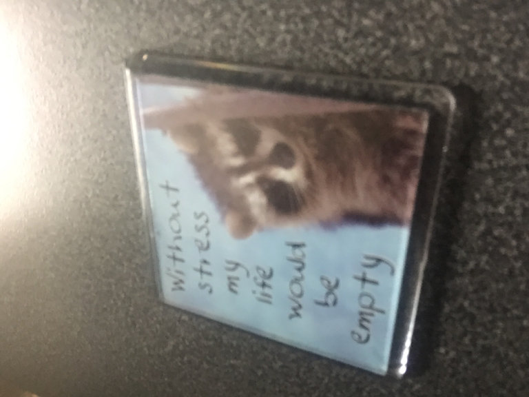 (542) Fridge Magnet - stress