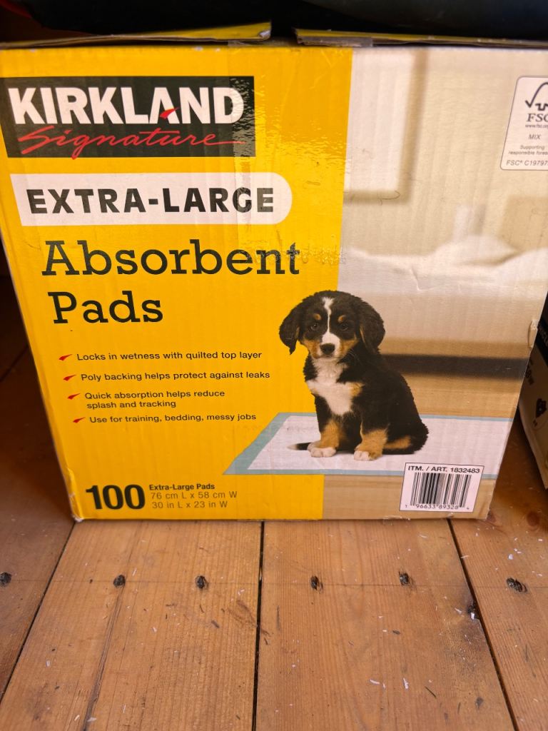 Kirkland Signature Extra-Large Absorbent Pads for Pets - Pack of 100