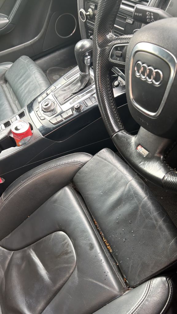 Audi, A5, Convertible, 2010, Semi-Auto, 2698 (cc), 2 doors