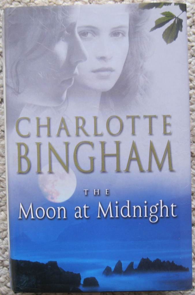 Hardback books, mainly fiction  £1 each