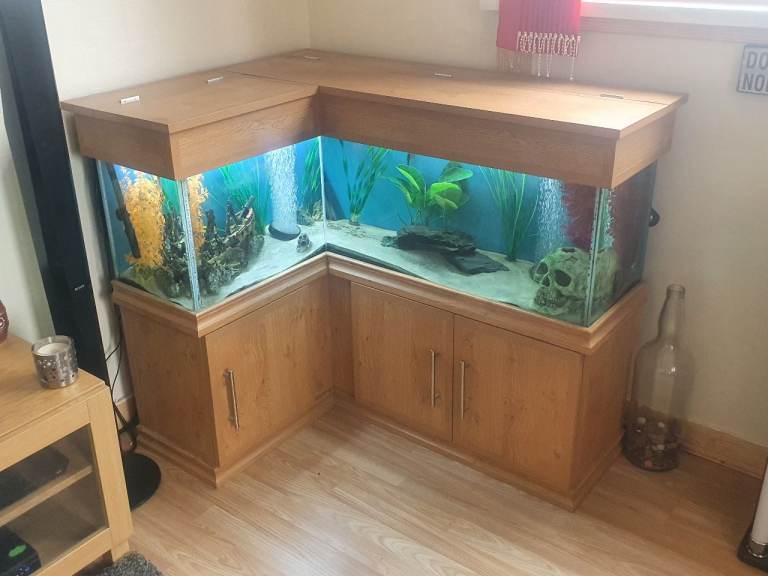 custom made L shape fish tank