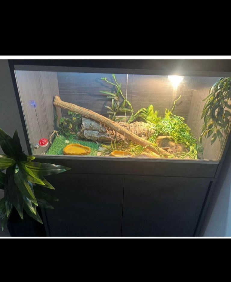 Nearly new vivarium 